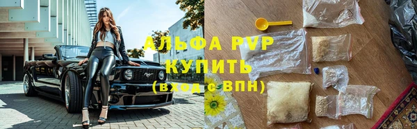 сатива Алексин